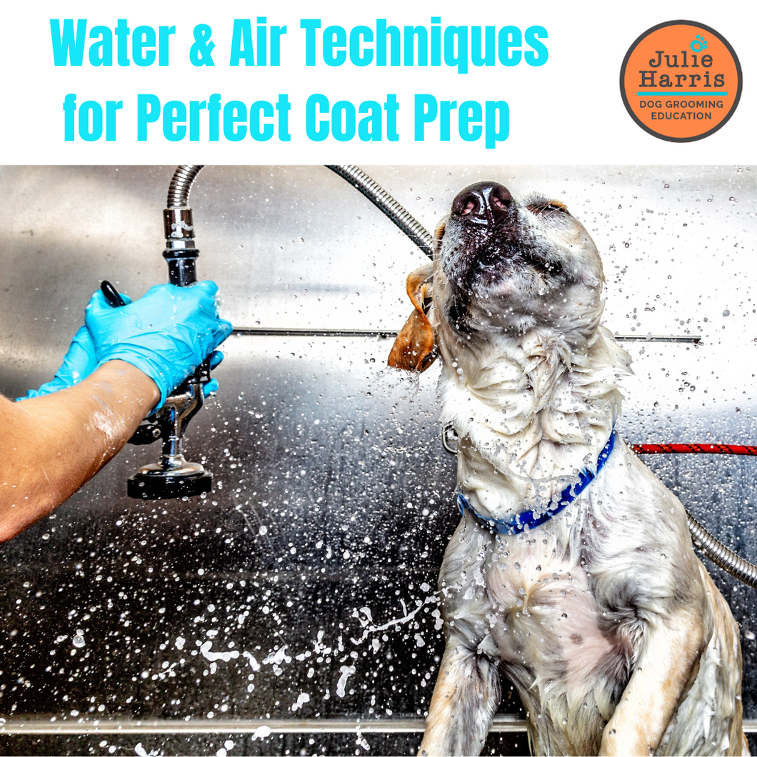 Julie Harris Education - NEW Optimising Coat Prep with Water & Air webinar