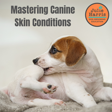 Load image into Gallery viewer, NEW Mastering Canine Skin Conditions Webinar
