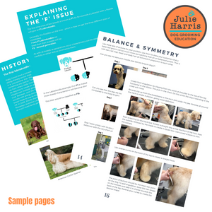 Julie Harris Education Doodles & Cockapoos Grooming Blueprint digital book