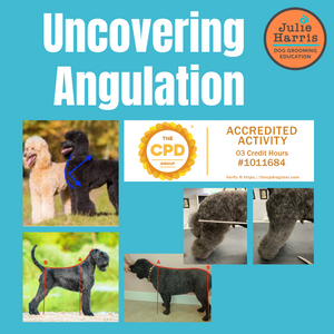 Julie Harris Education Uncovering Angulation Online Course - CPD Accredited