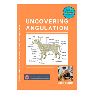 Julie Harris Education Uncovering Angulation paperback book