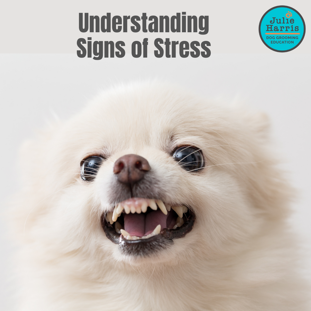 Understanding Signs of Stress Webinar