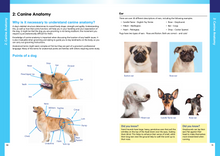 Load image into Gallery viewer, Julie Harris Education - A Dog Groomer&#39;s Guide - Canine Anatomy, Skin, Coats, Health &amp; First Aid - PRE-ORDER
