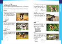 Load image into Gallery viewer, Julie Harris Education - A Dog Groomer&#39;s Guide - Canine Anatomy, Skin, Coats, Health &amp; First Aid - PRE-ORDER
